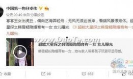 卓伟爆料出狱视频大全集,出狱视频大全集深度解析